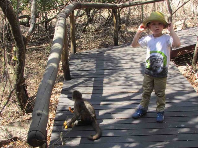 Bushbaby & Monkey Sanctuary